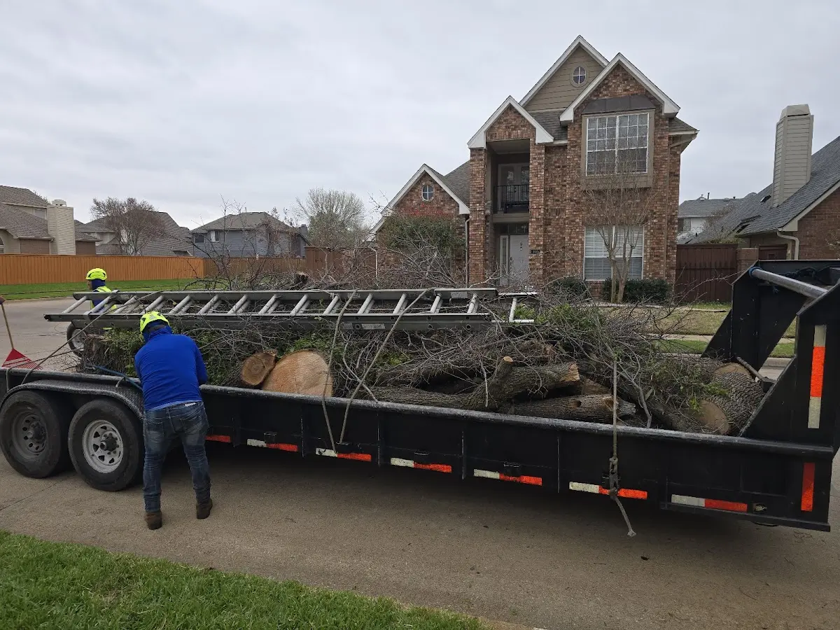 Expert Tree Pest Control with proper safety equipment in Fort Myers Beach